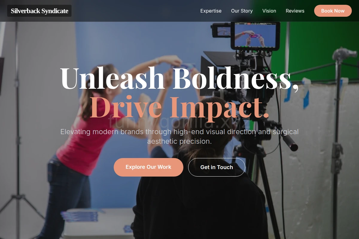 Vivid Creative Direction