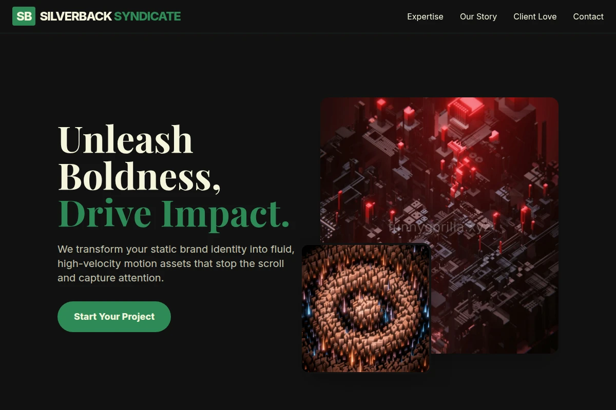 Light Motion Graphics