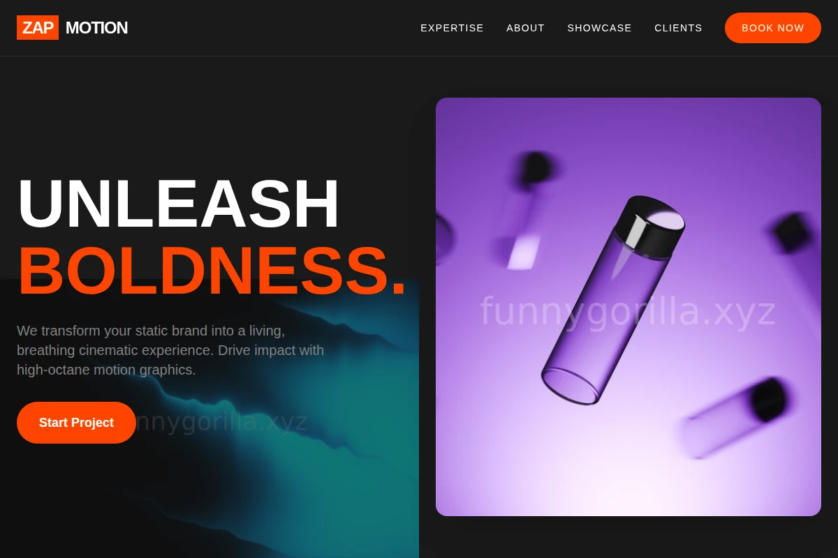 Zap Motion Graphics