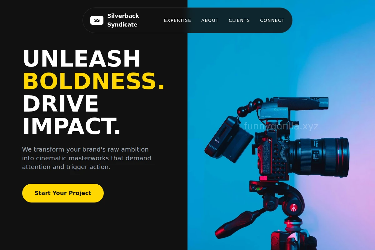 Ink Video Production