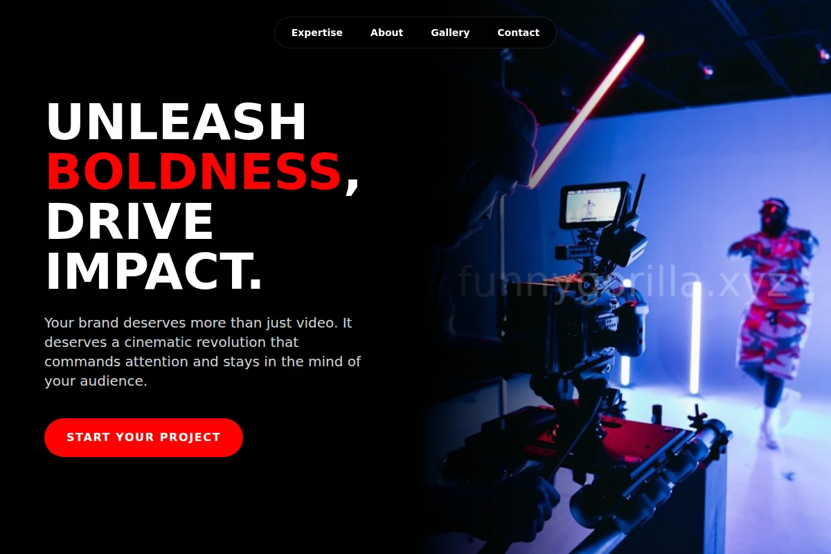 Light Video Production