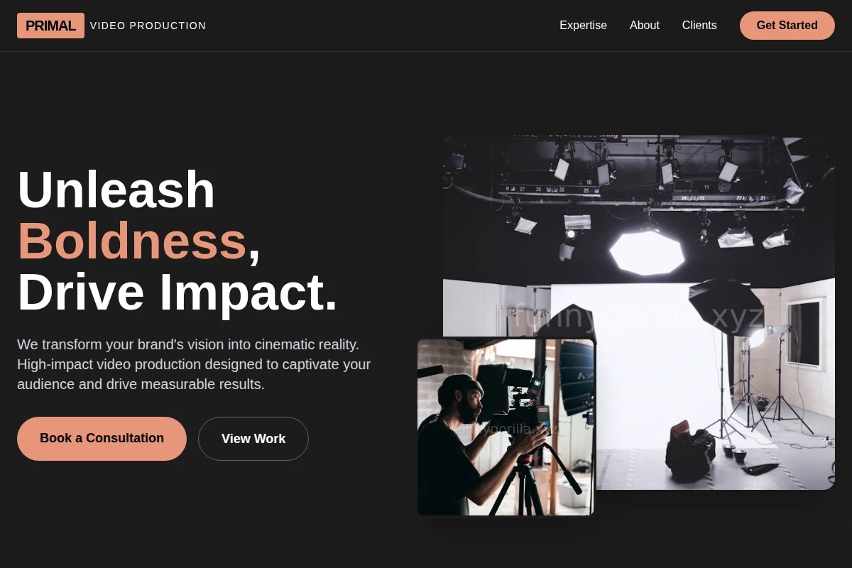 Premium Animation Studio Website Design